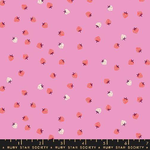 Strawberry Mini Berry Daisy