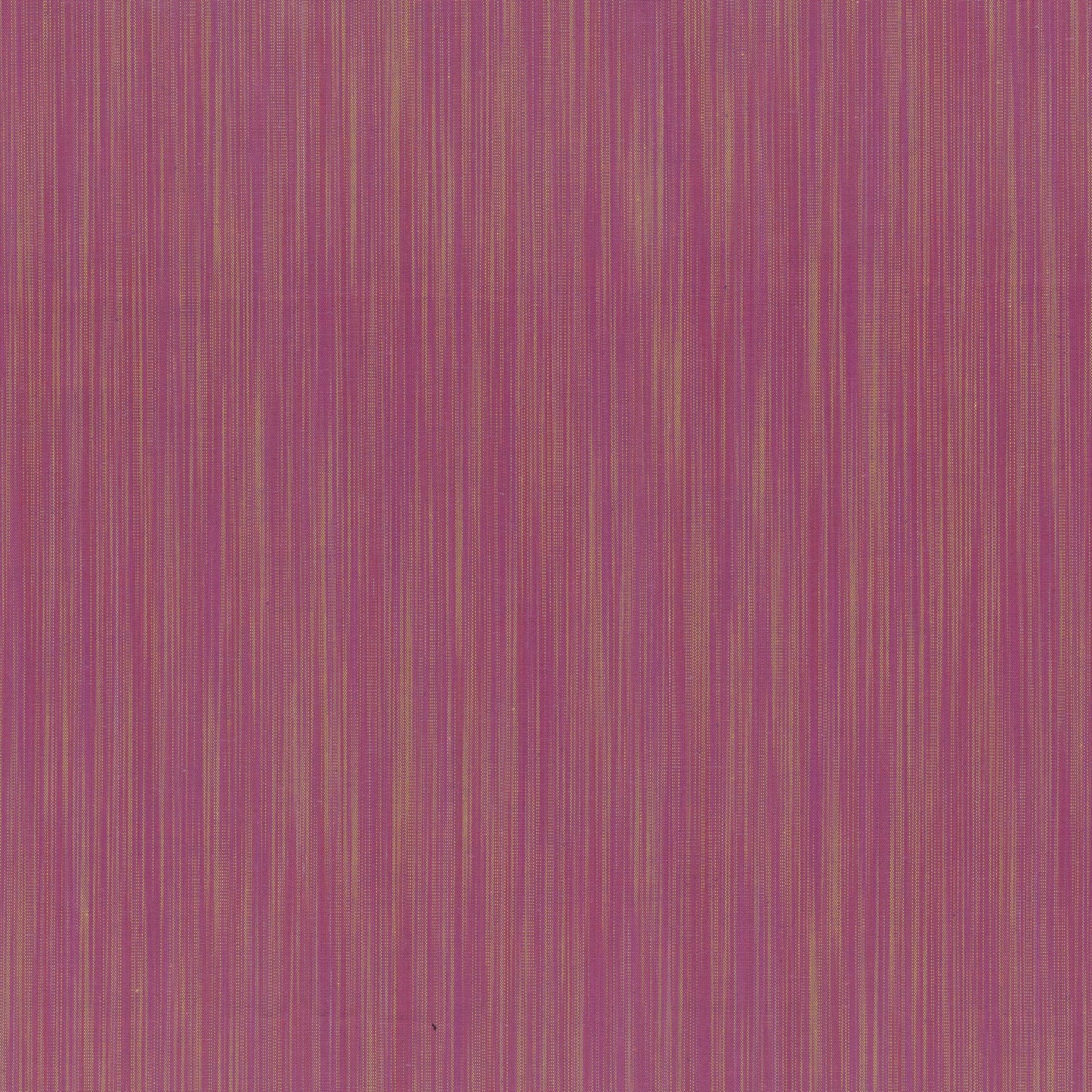 Space Dye Berry*