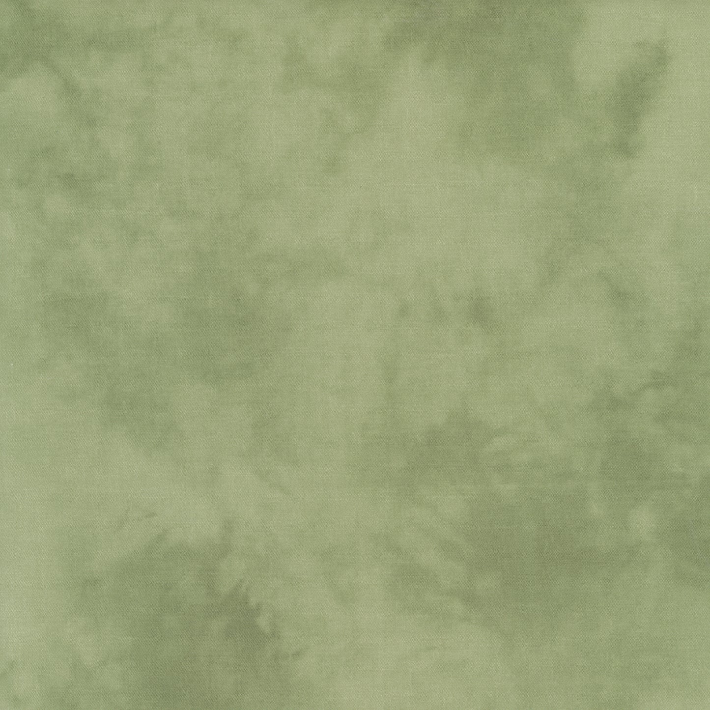 Palette* Lamb's Ear