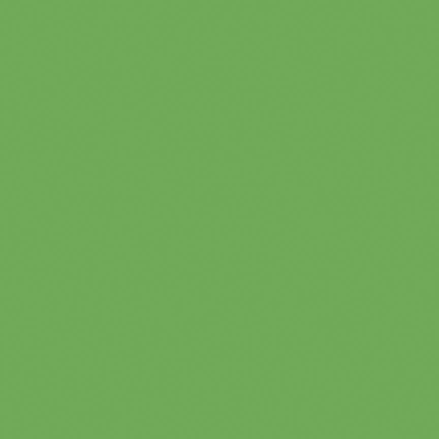 Confetti Cottons Riley Green