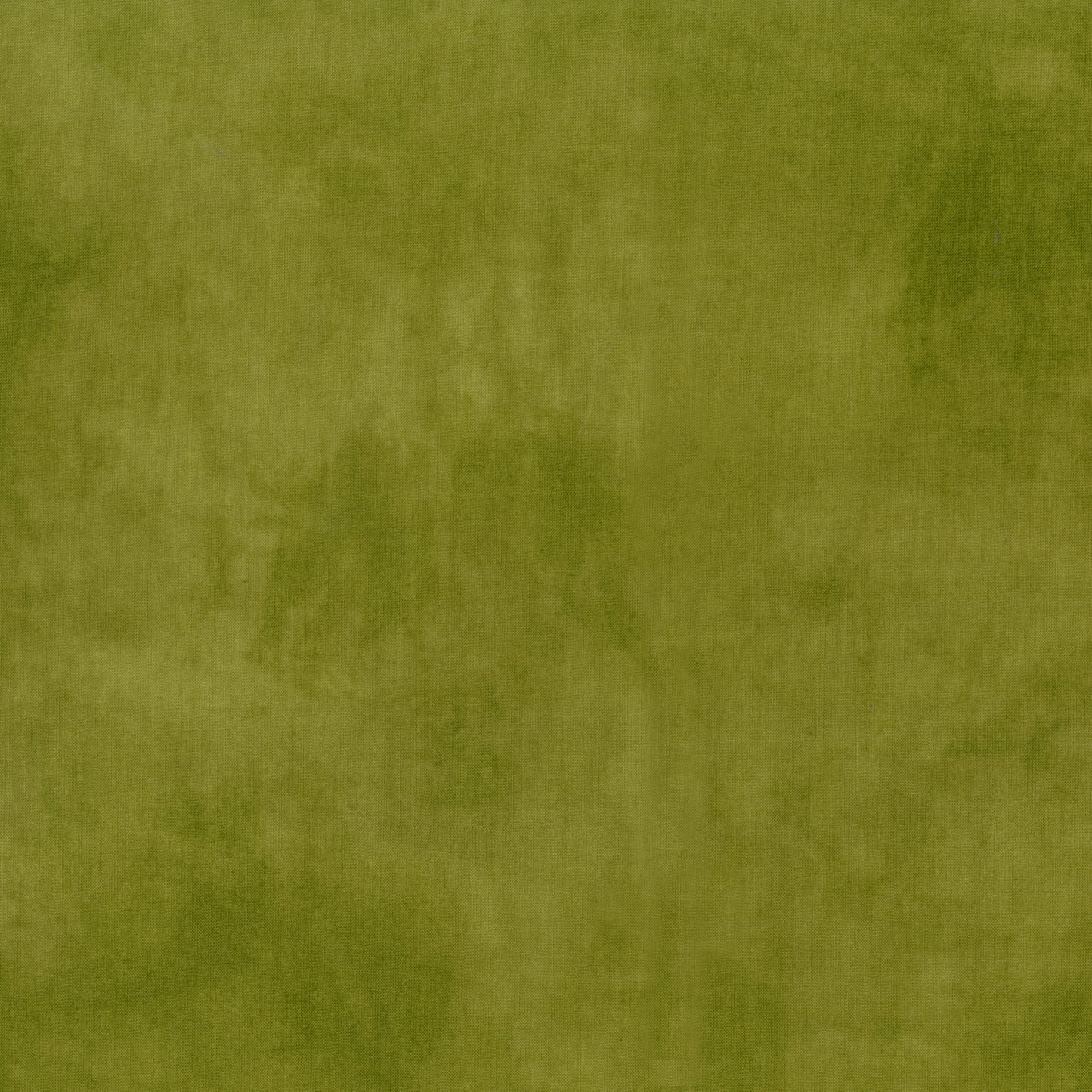 Palette* Olive