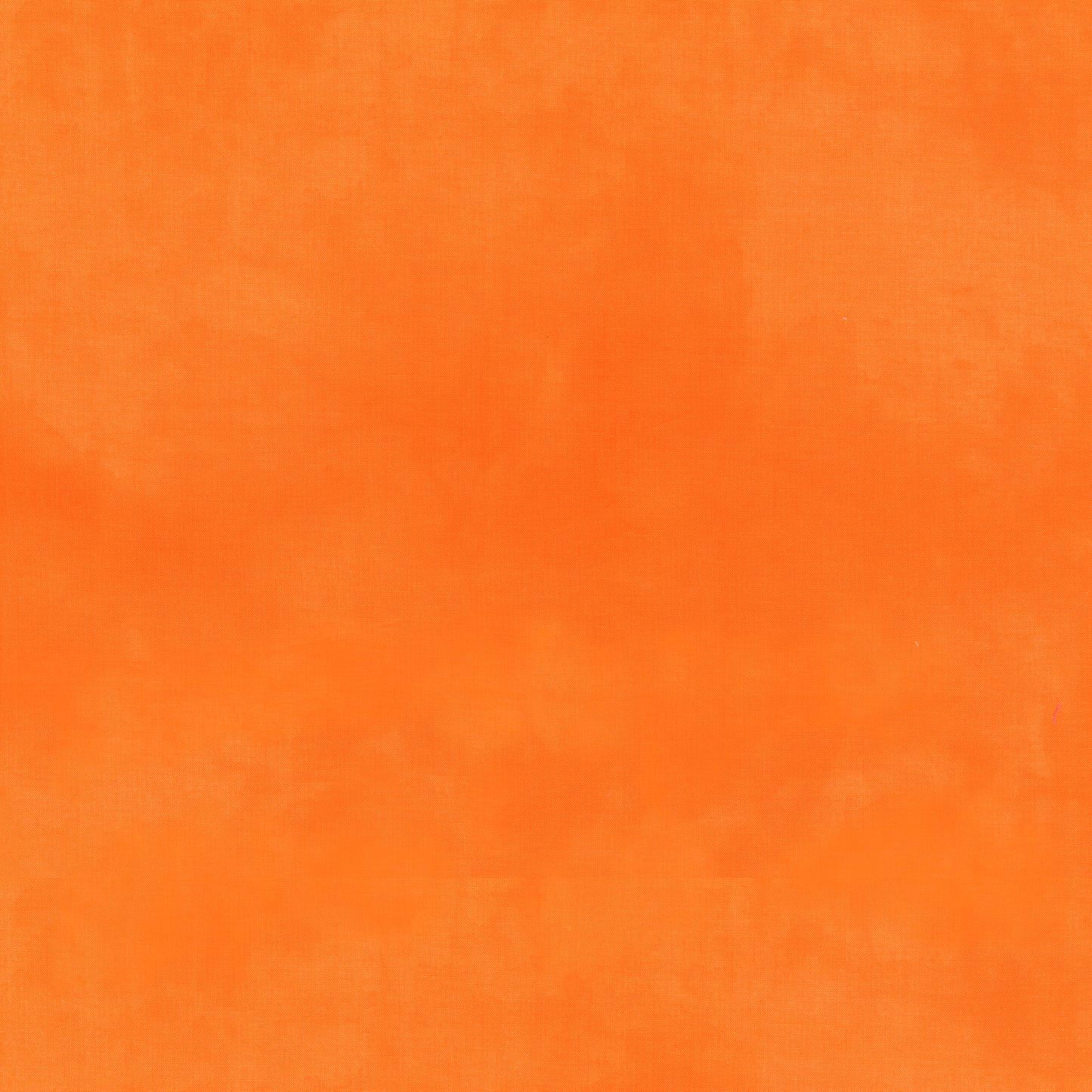 Palette* California Poppy