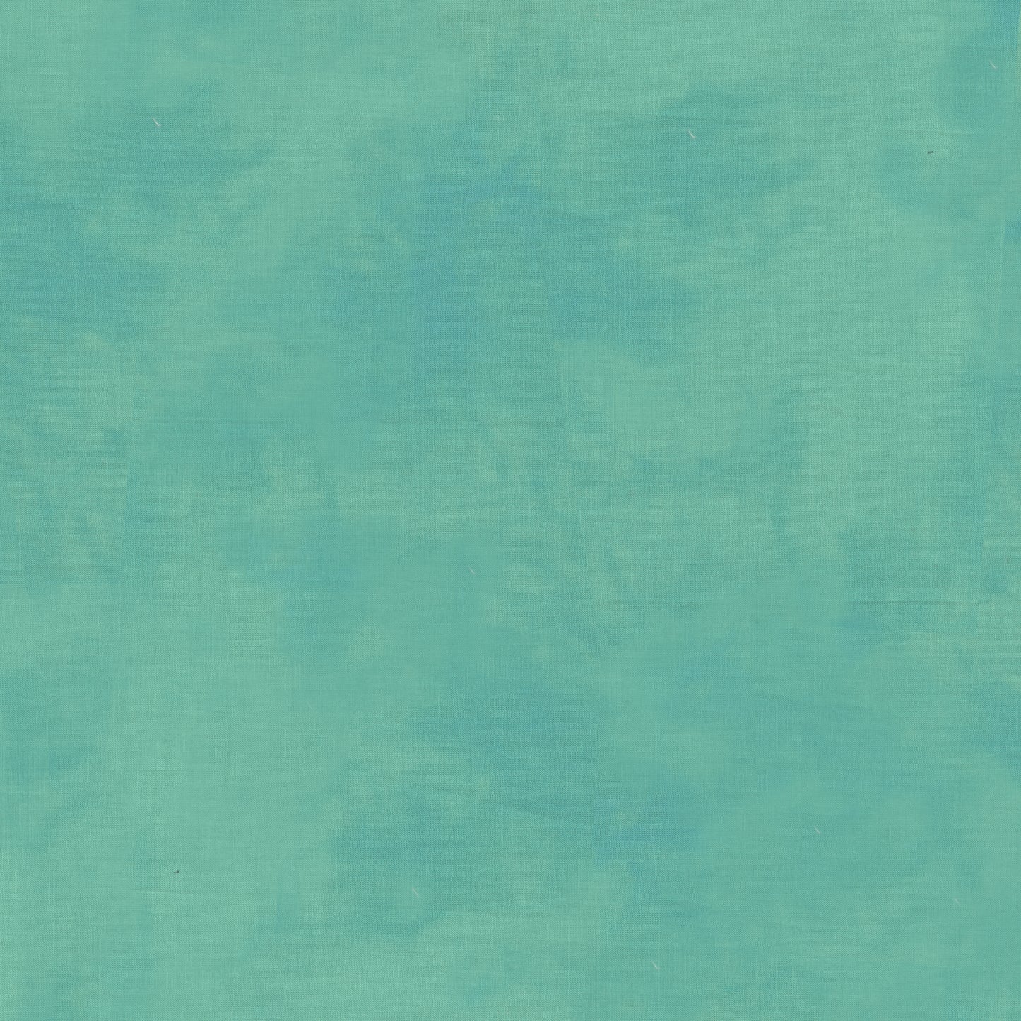 Palette* Dragonfly