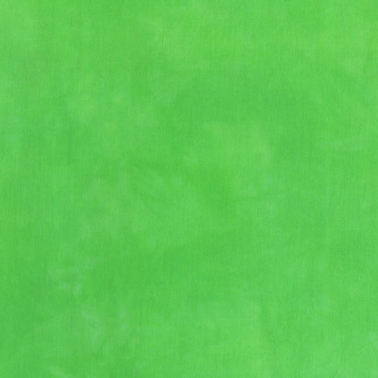 Palette* Hummingbird