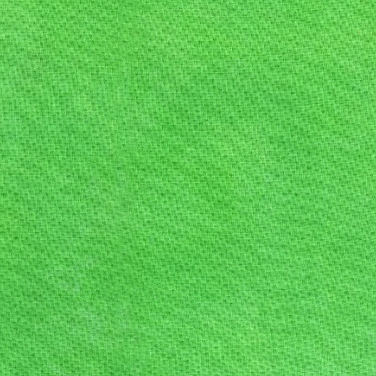 Palette* Hummingbird