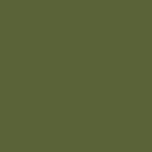 Confetti Cottons Avocado