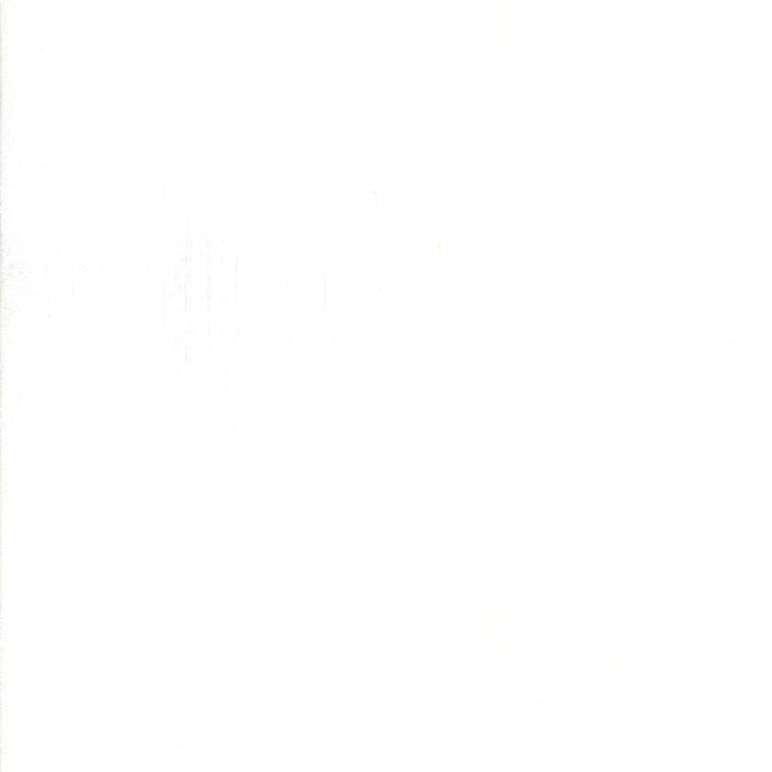 Grunge White Paper*