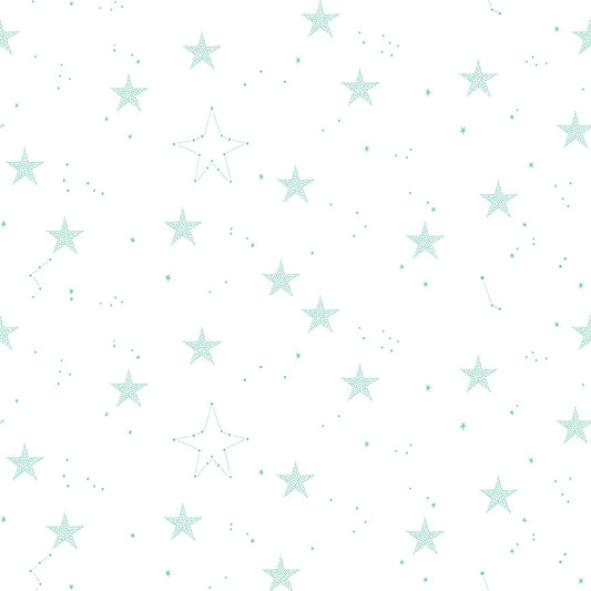 Hush Hush 5 Wish Upon A Star