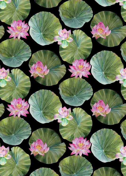 Water Lilies Lilpads Black