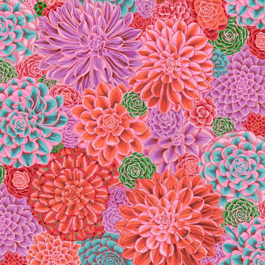House Leeks Pink Kaffe