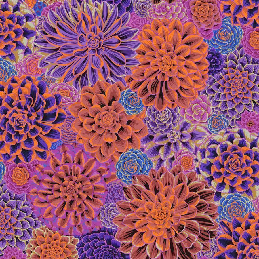 House Leeks Purple Kaffe