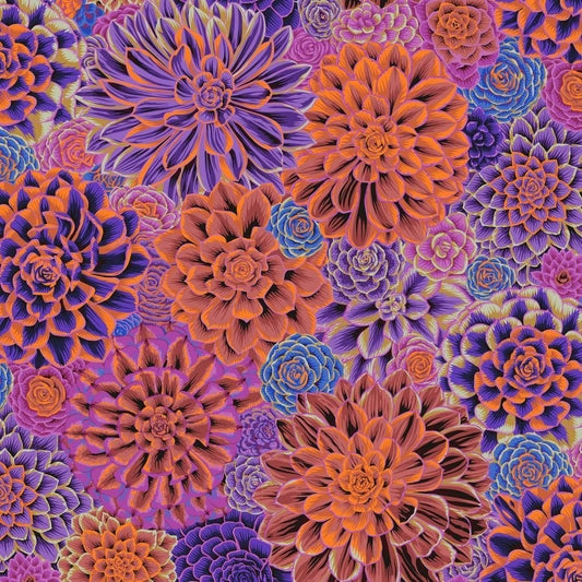 House Leeks Purple Kaffe