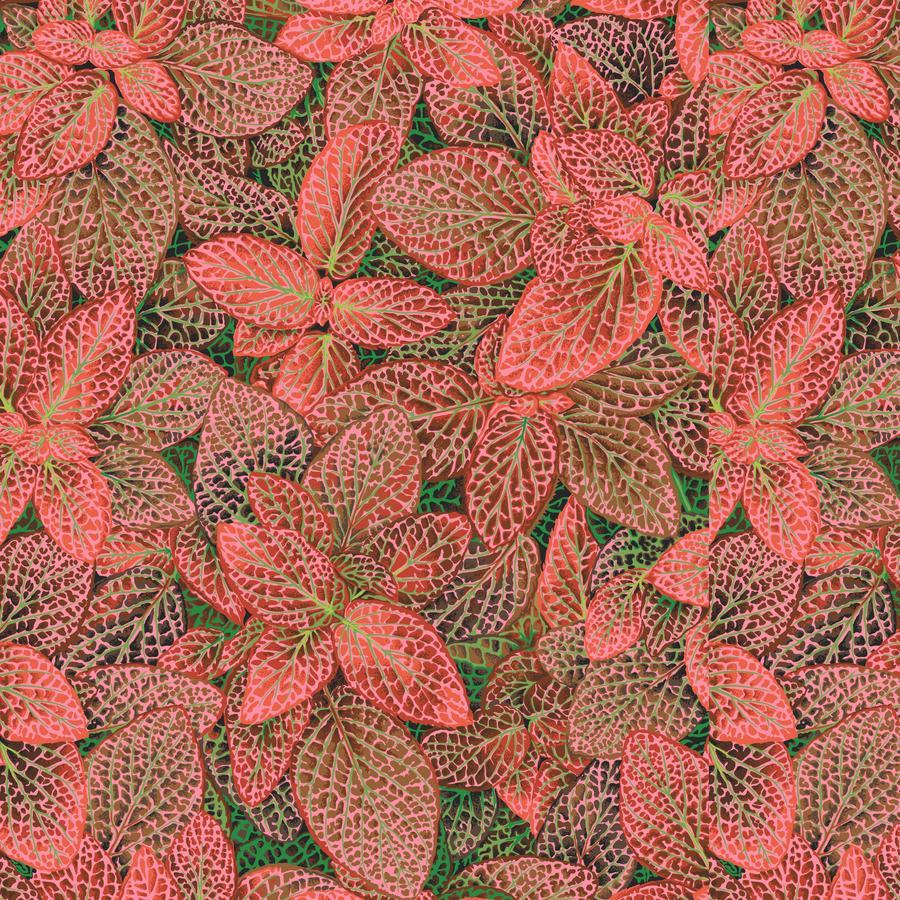 Kaffe Fittonia Red