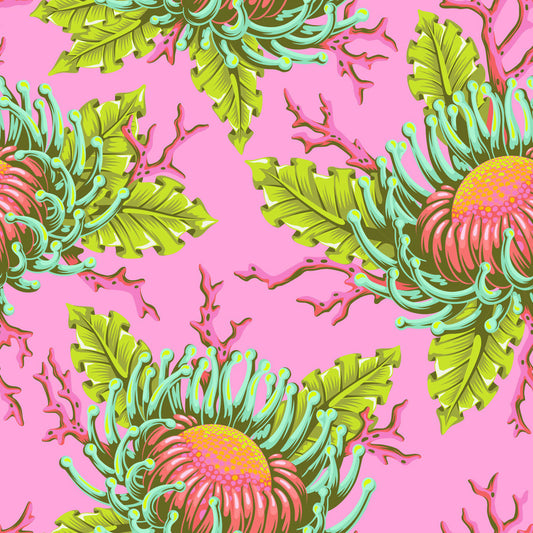 Tula Floral Reef Friends & Anemones Coralline