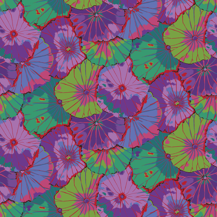108" Kaffe Quilt Backs*