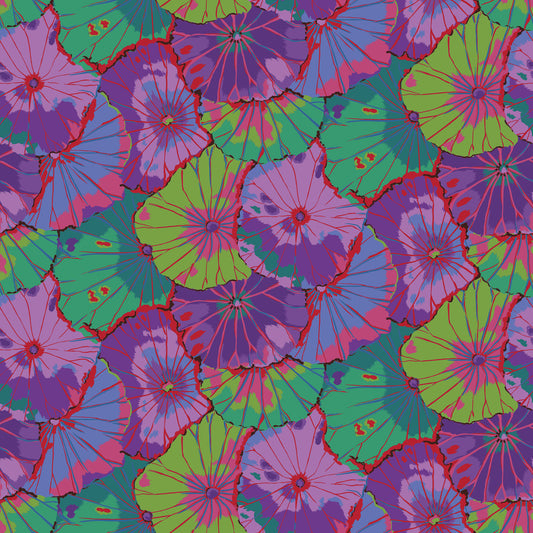 108" Kaffe Quilt Backs*