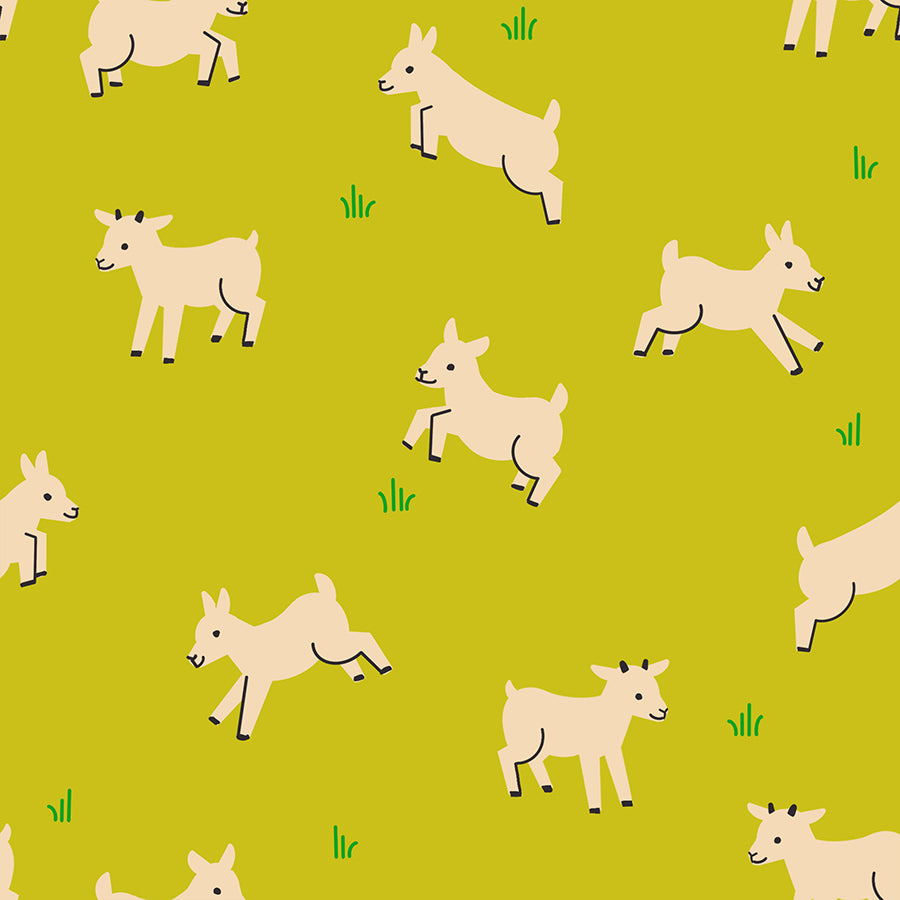 Animal Animal Pistachio