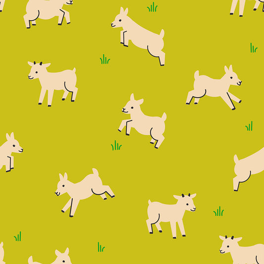 Animal Animal Pistachio