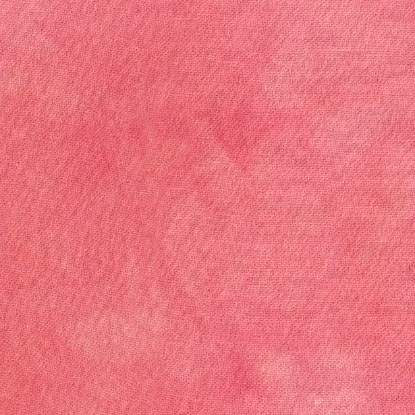 Palette* Cactus Rose