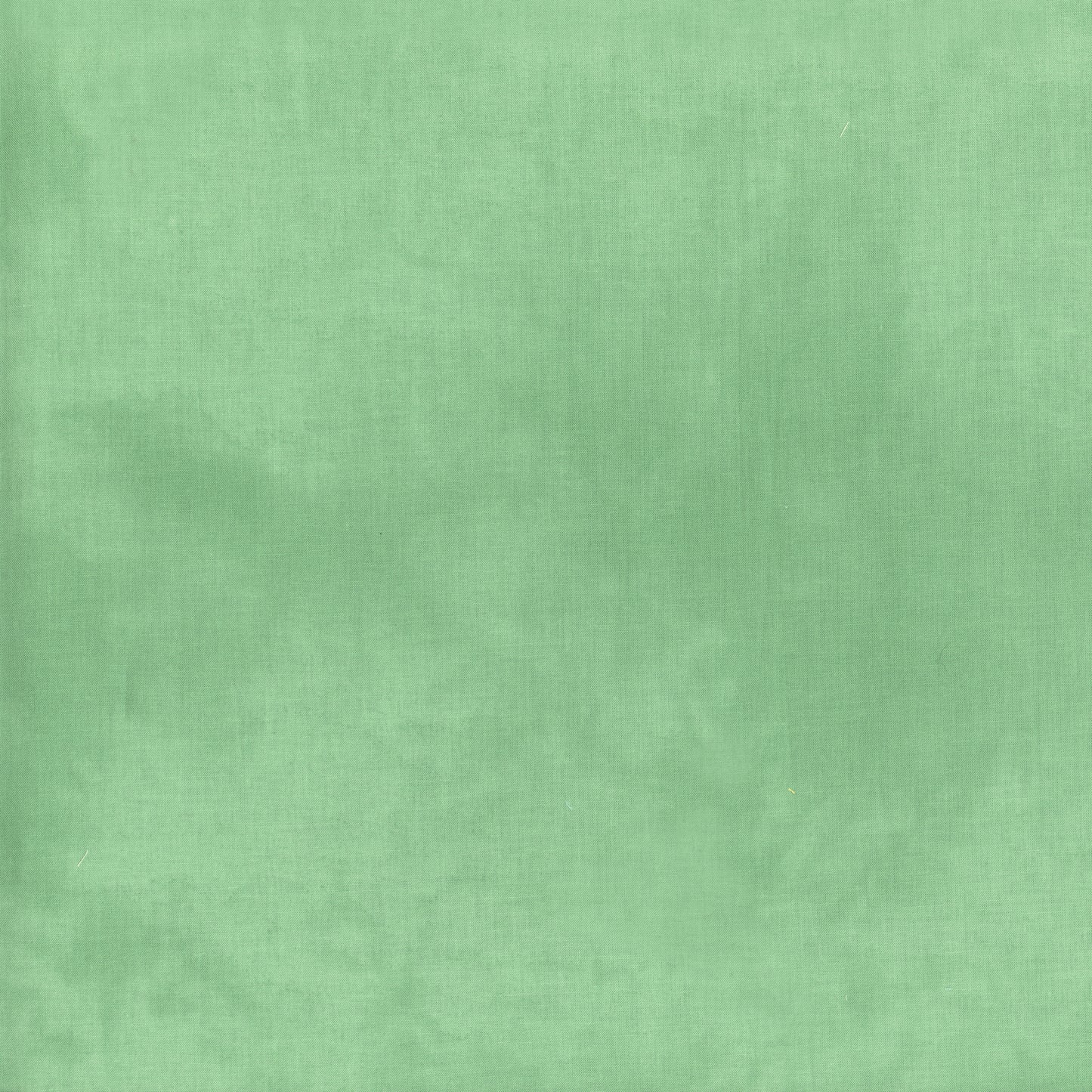Palette* Ice Cap