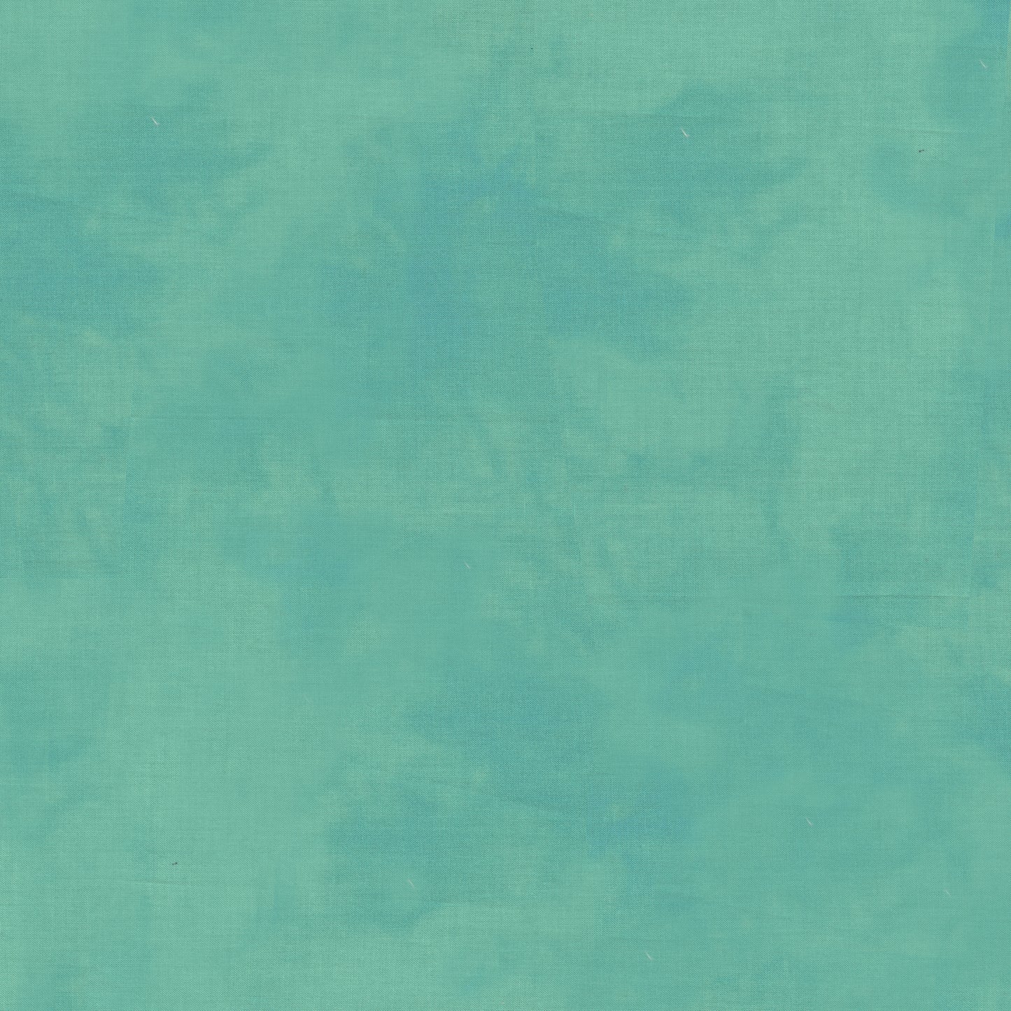 Palette* Dragonfly