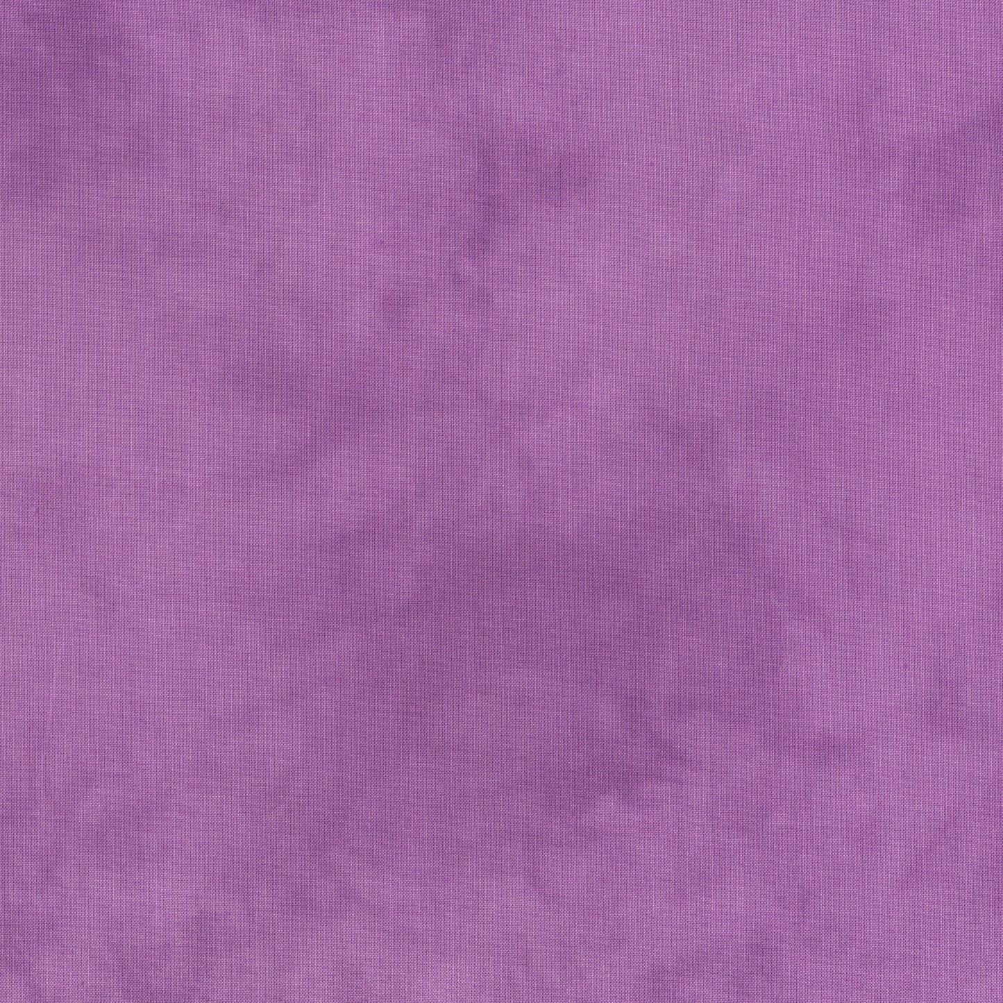 Palette* Orchid