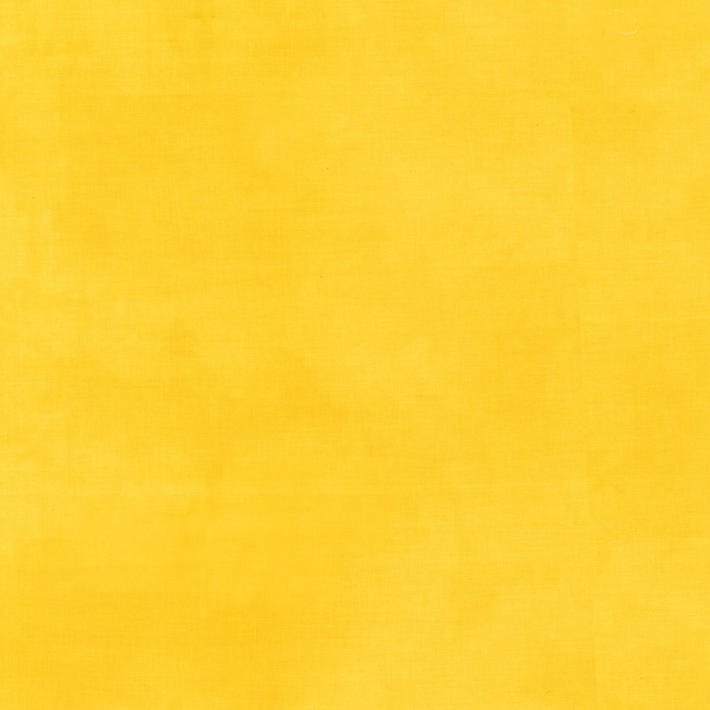 Palette* Lemon Zest