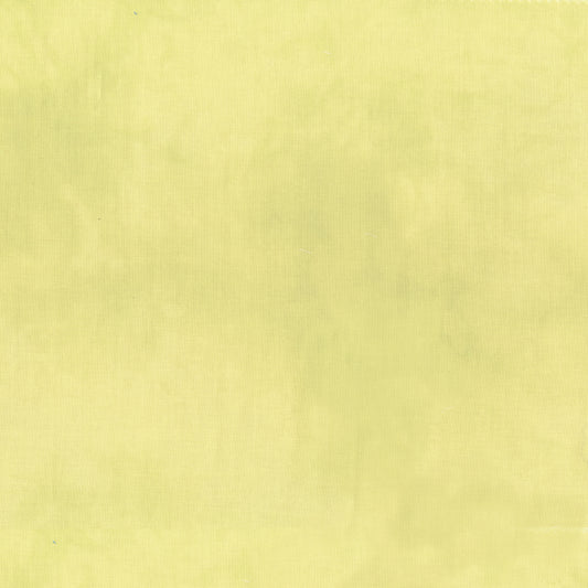 Palette* Celery