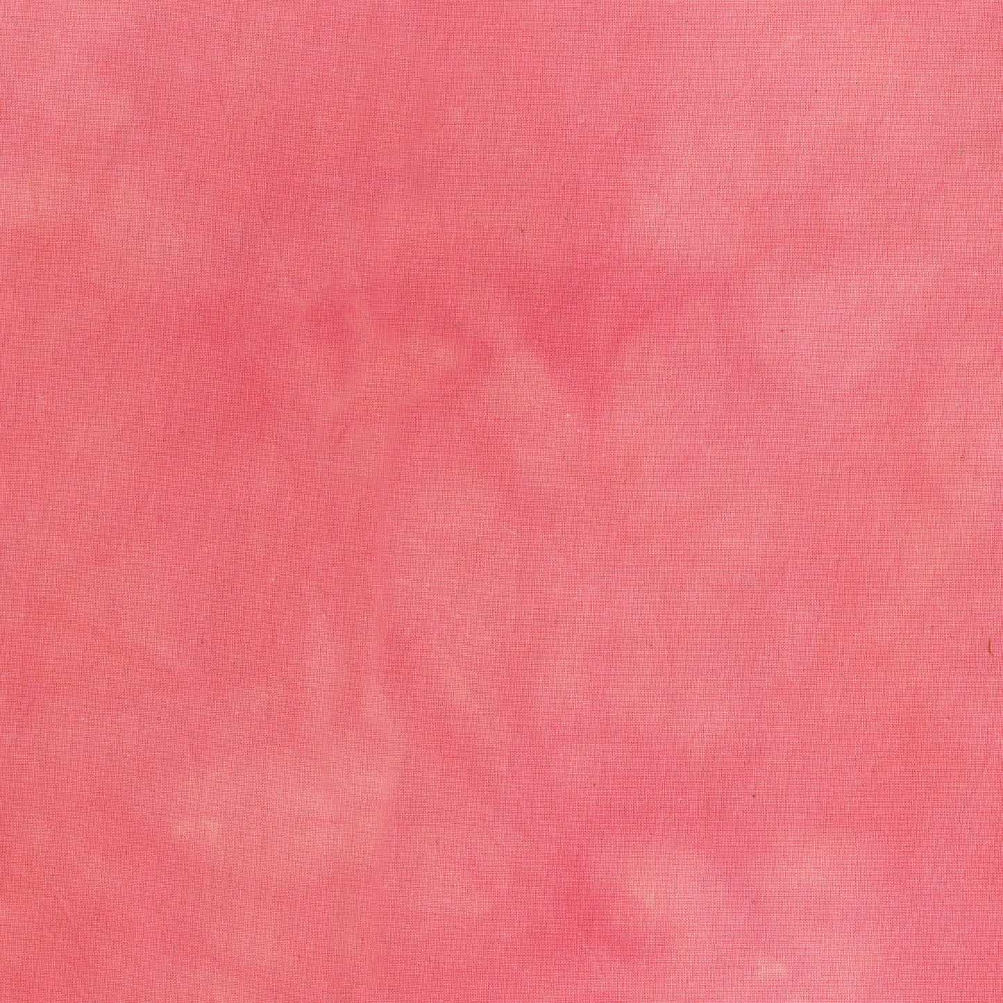 Palette* Cactus Rose
