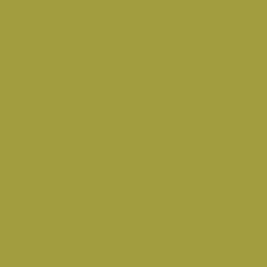 Confetti Cottons Split Pea