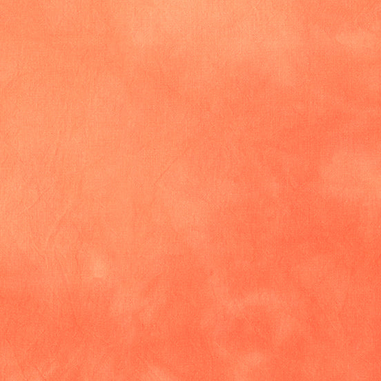 Palette* Guava
