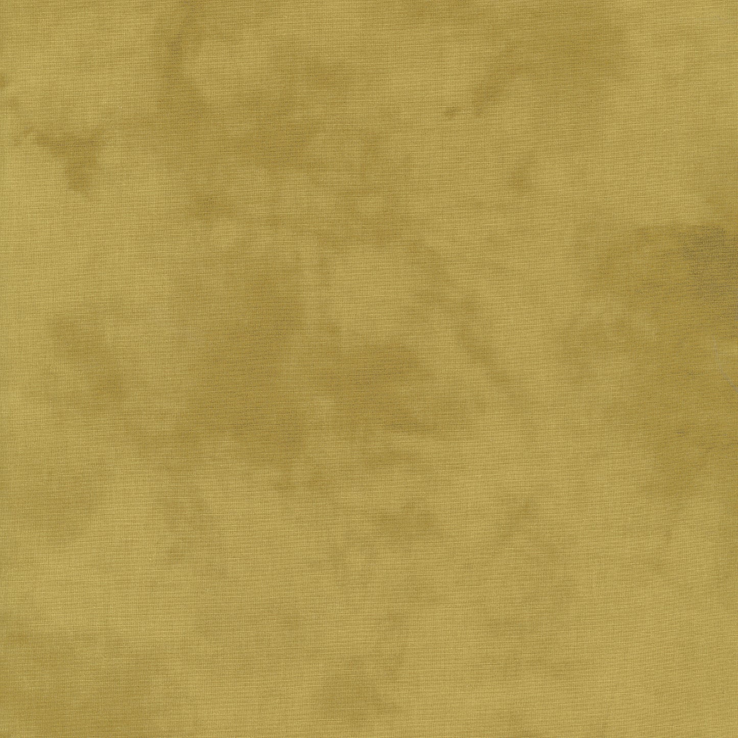Palette* Cumin
