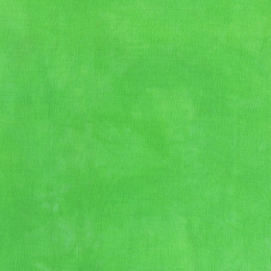 Palette* Hummingbird