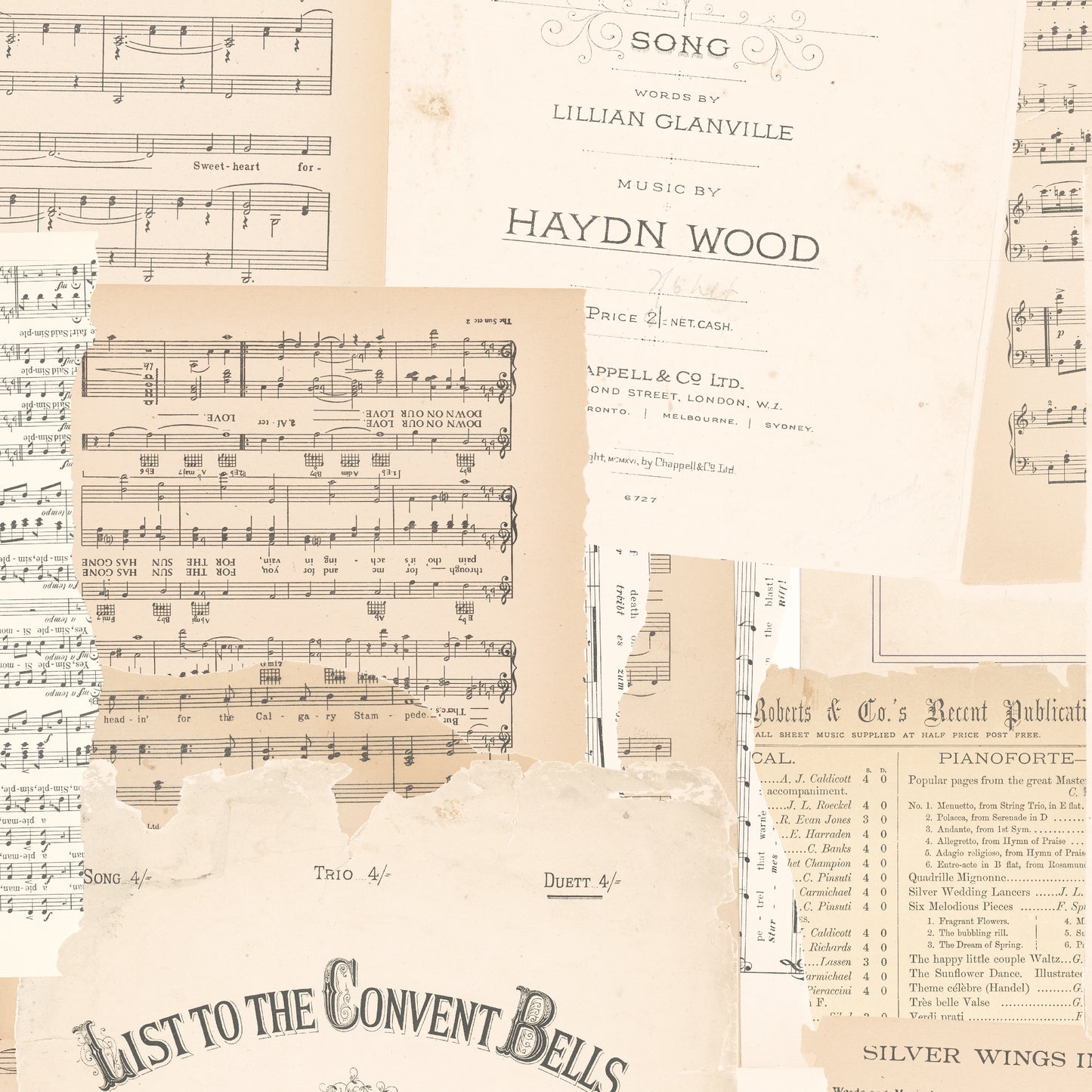 Rose & Violet's Melody Parchment