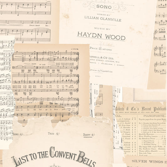 Rose & Violet's Melody Parchment