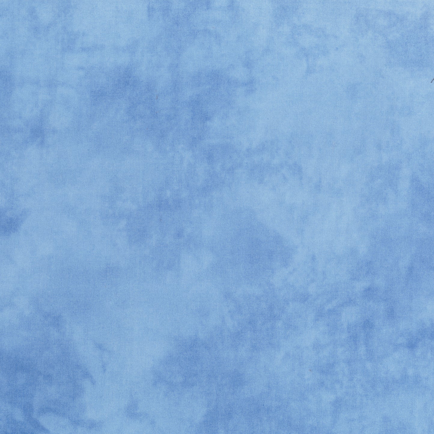 Palette* BlueBird