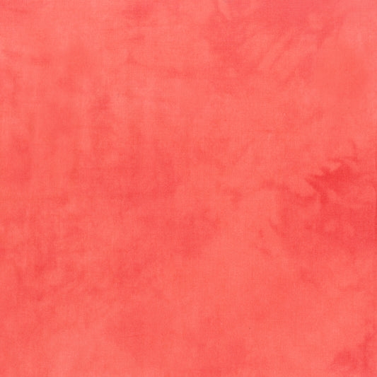 Palette* Salmon