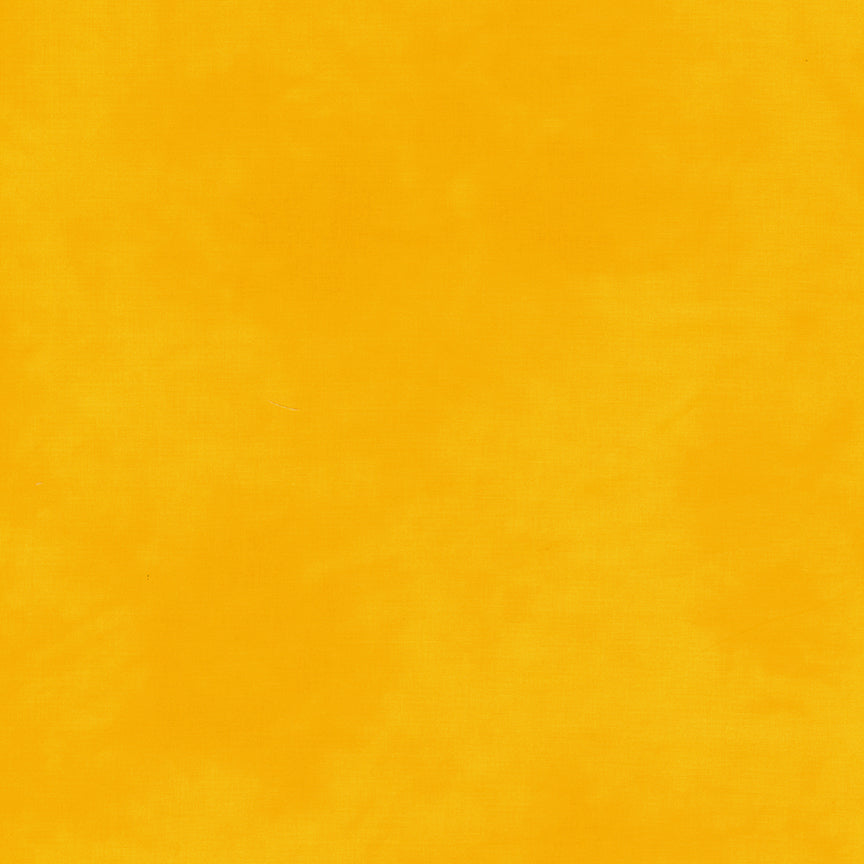 Palette* Daffodil