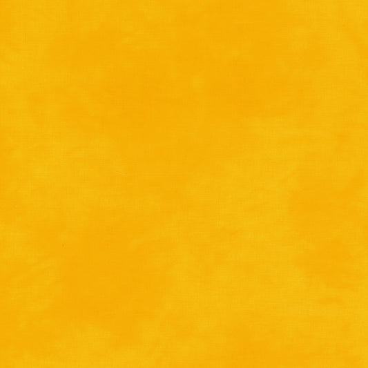 Palette* Daffodil