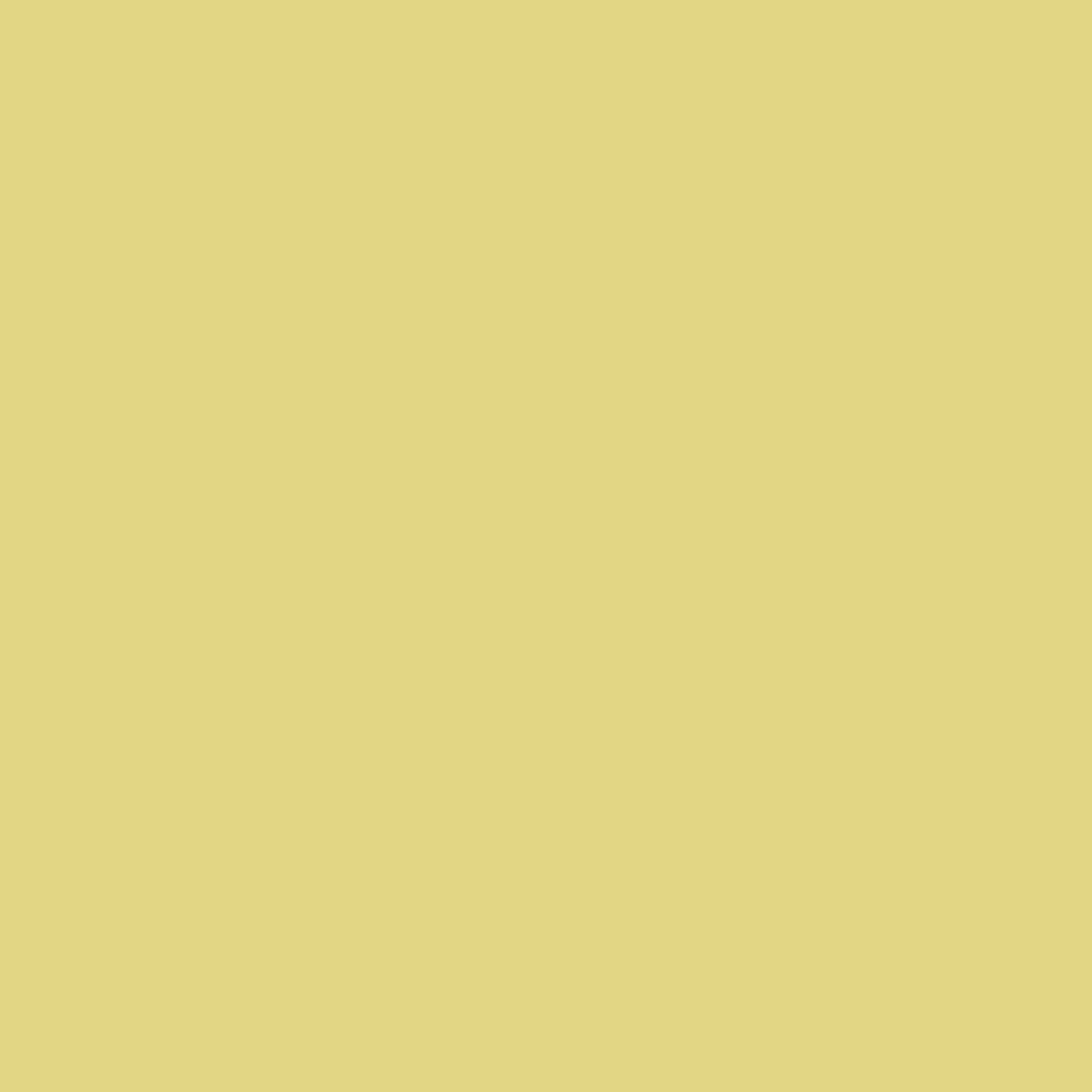 Confetti Cottons Bean Sprout
