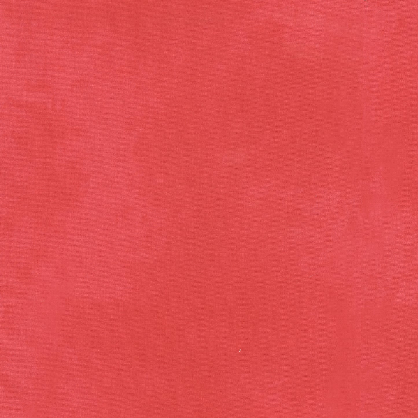 Palette* Dragonfruit