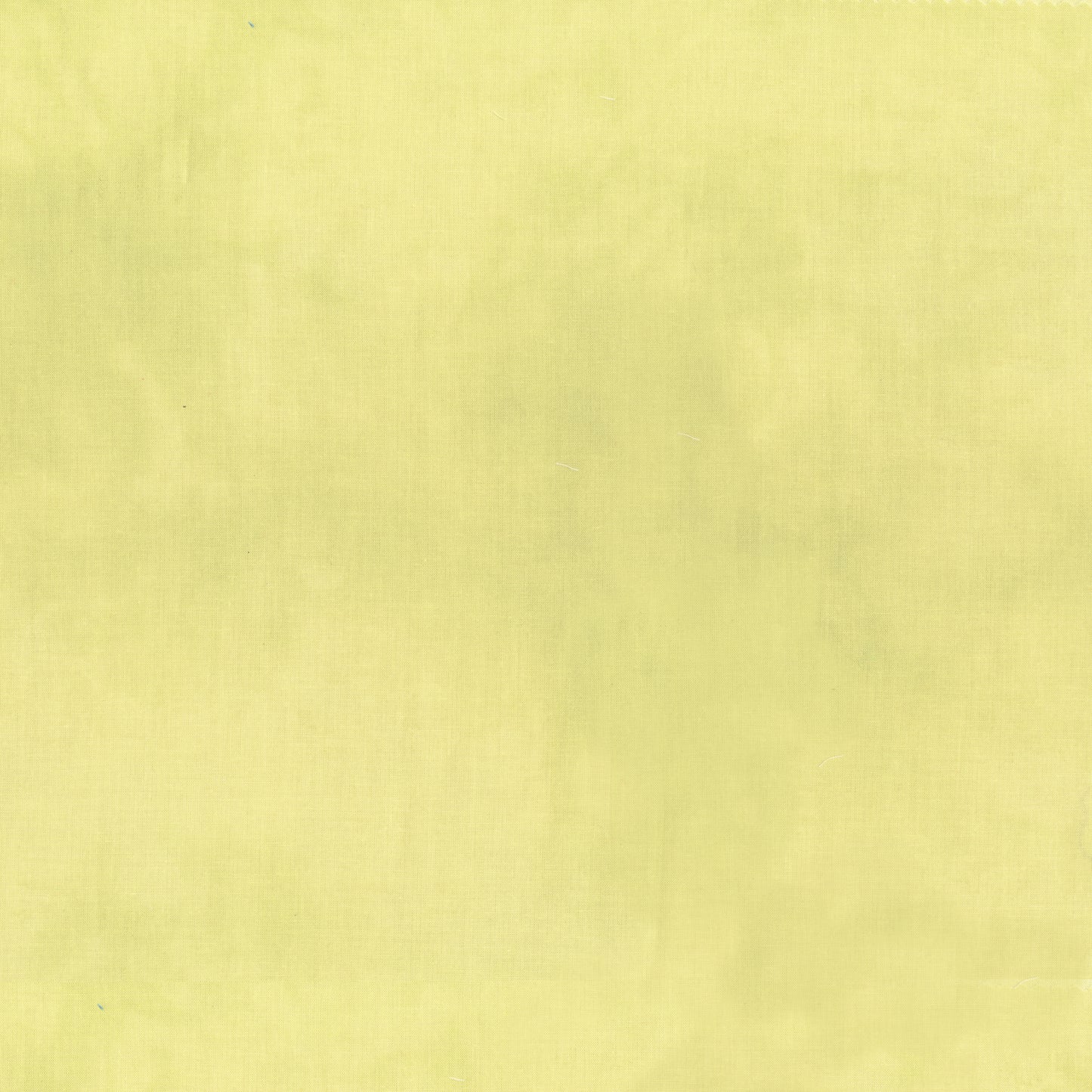 Palette* Celery