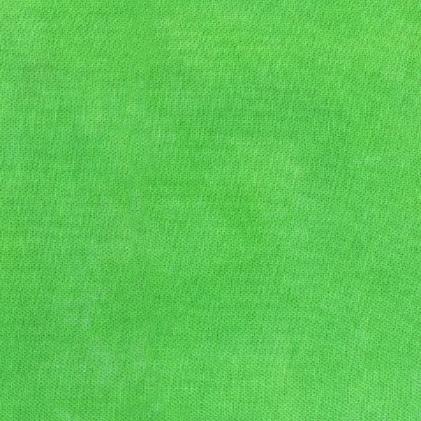 Palette* Hummingbird