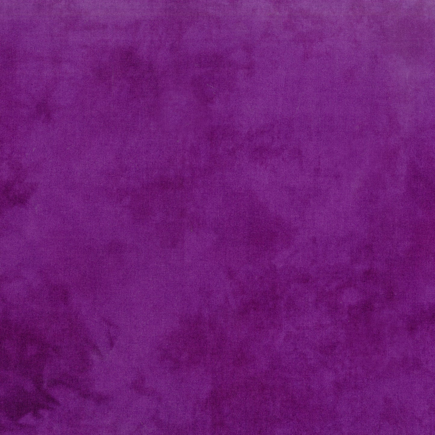 Palette* Concord