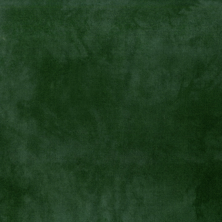 Palette* Alligator