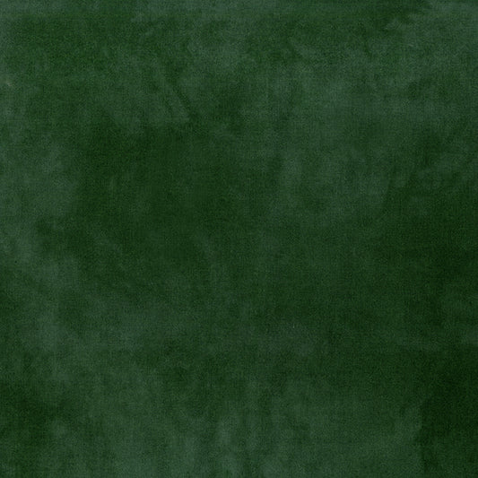 Palette* Alligator