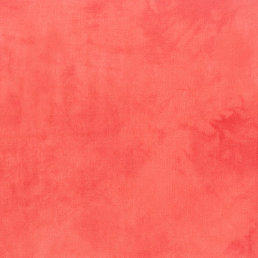 Palette* Salmon