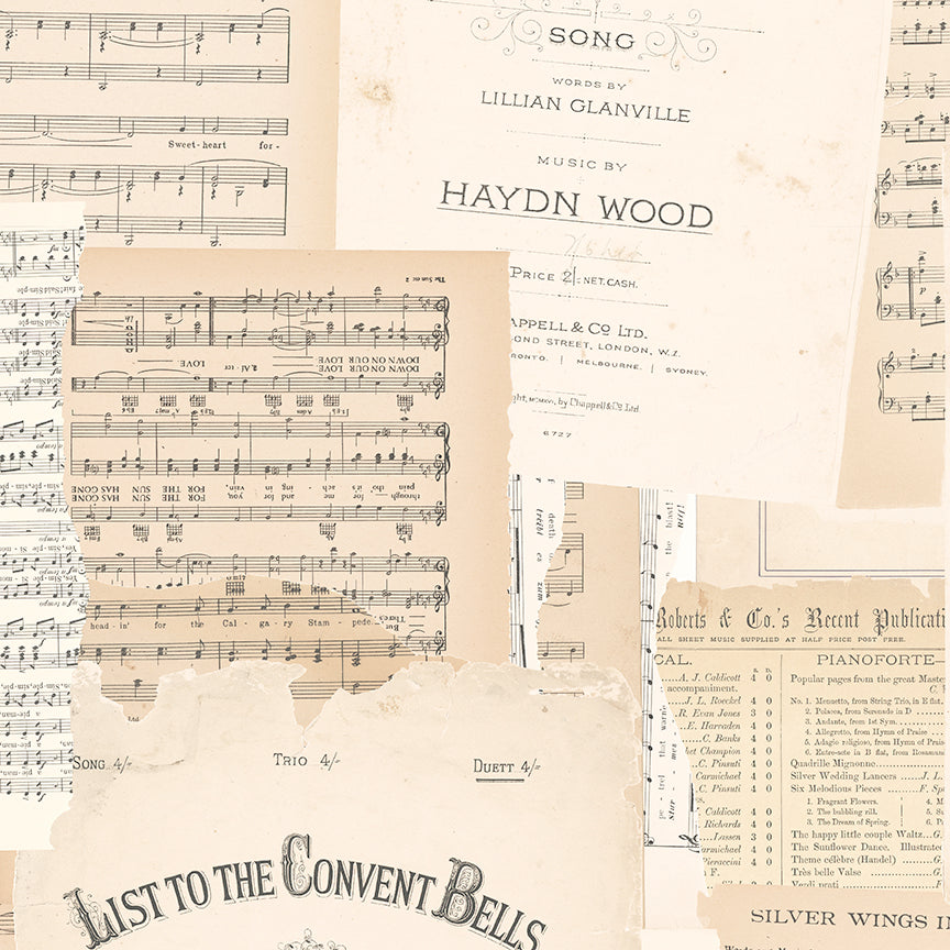 Rose & Violet's Melody Parchment
