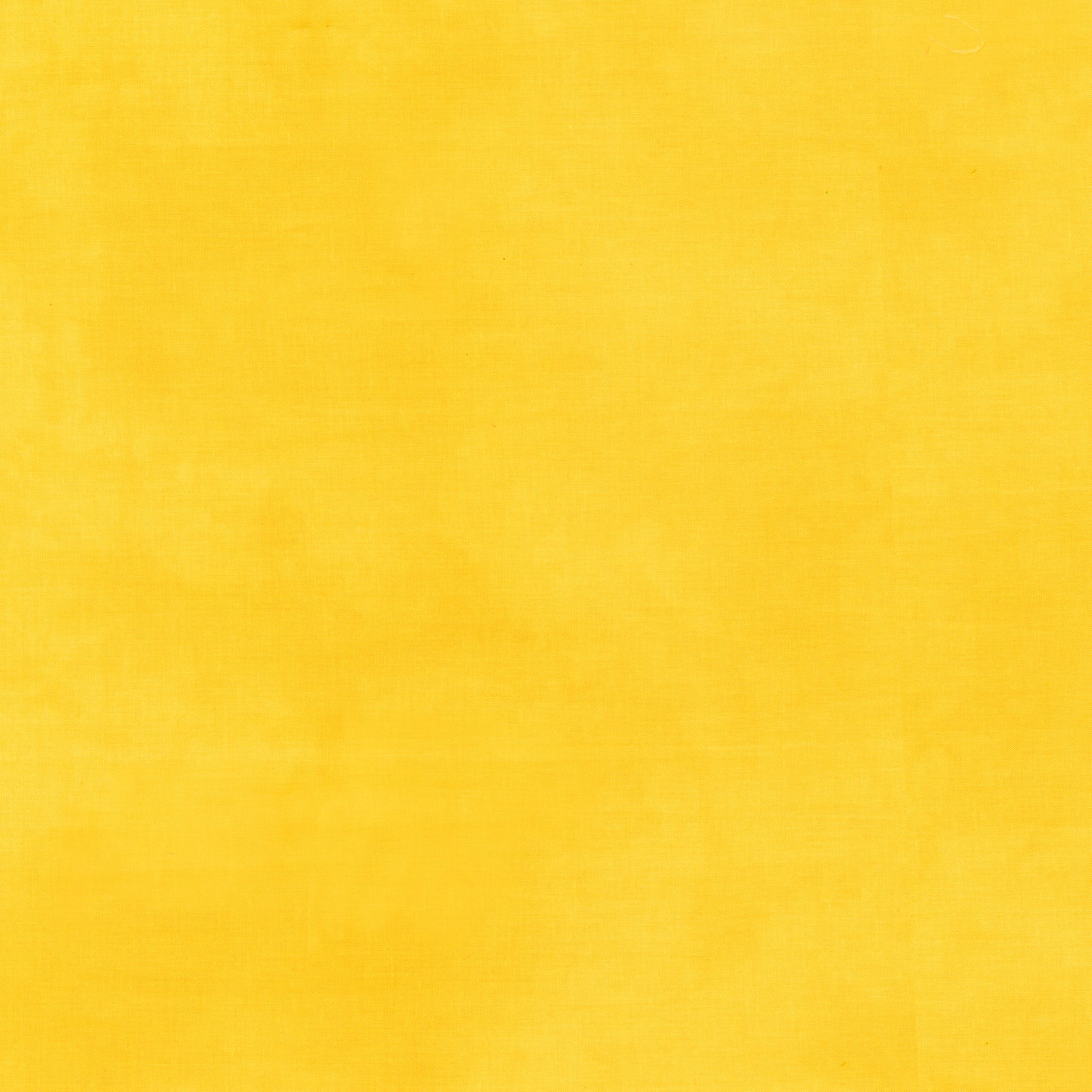 Palette* Lemon Zest