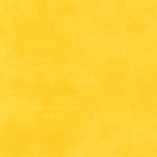 Palette* Lemon Zest